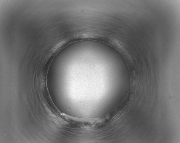 X0000077990164200611171804