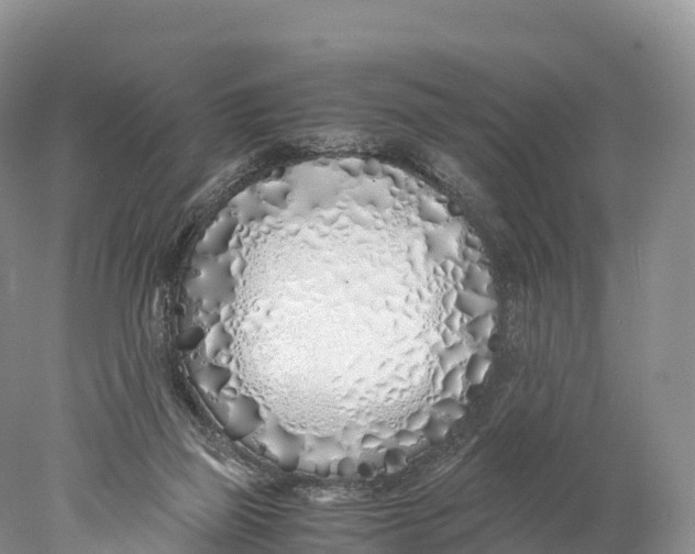 X0000077990165200611171804