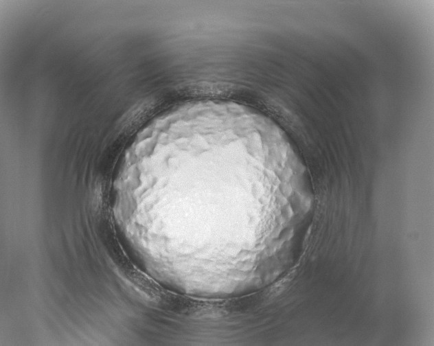 X0000077990166200611171804