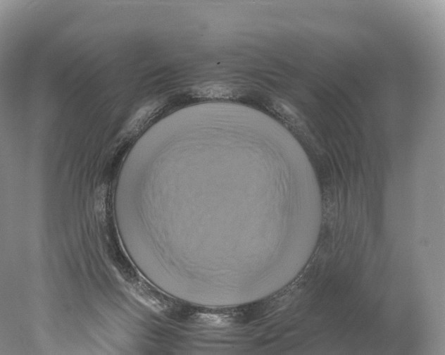 X0000077990167200611171804