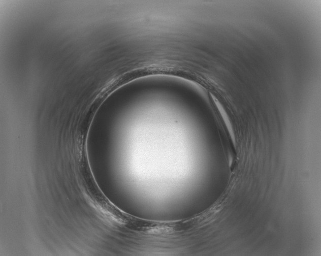 X0000077990168200611171804