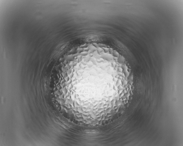 X0000077990169200611171804