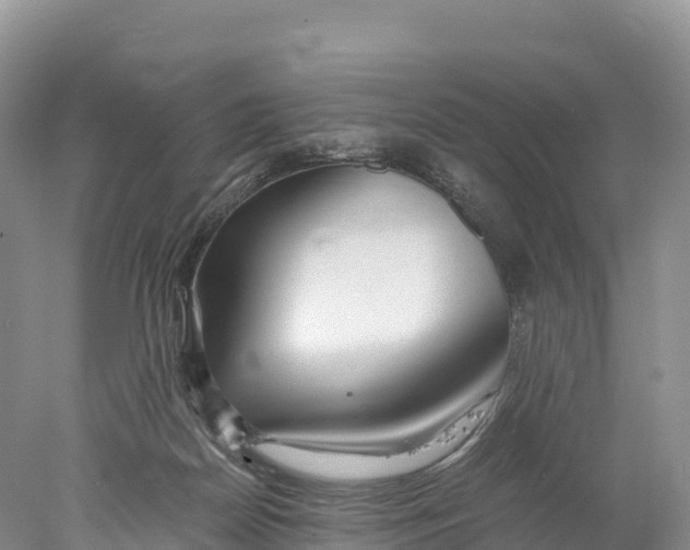 X0000077990170200611171804