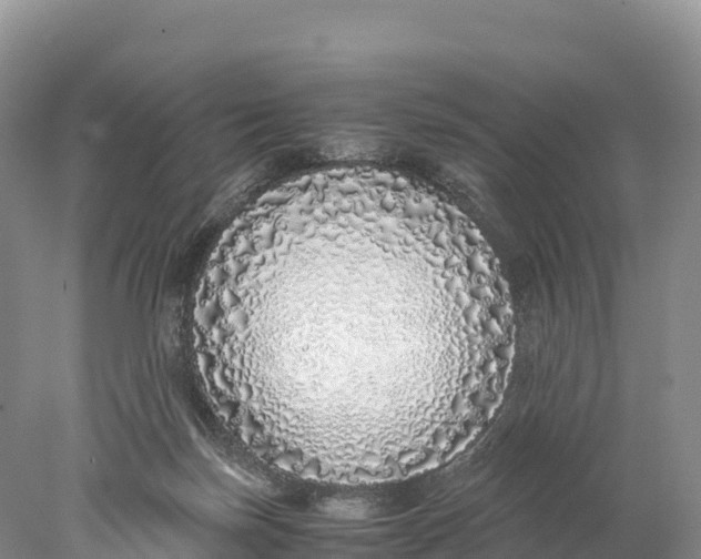 X0000077990171200611171804