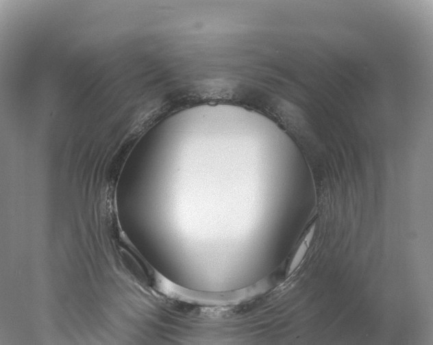 X0000077990172200611171804