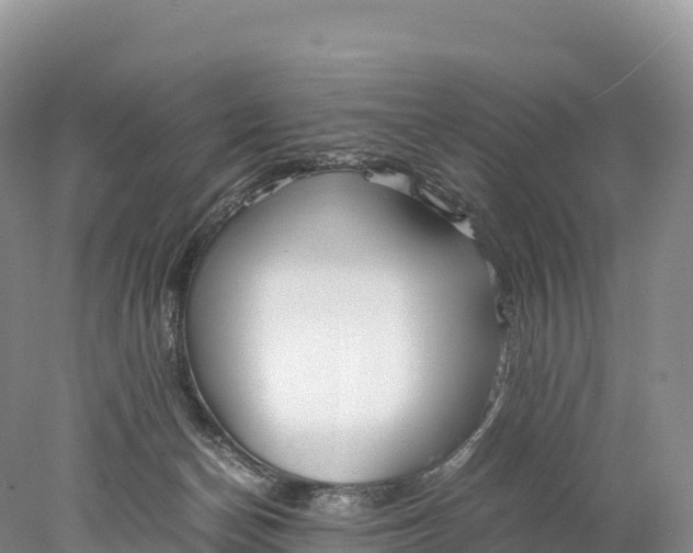 X0000077990174200611171804