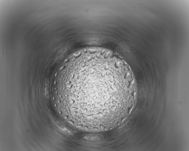 X0000077990175200611171804