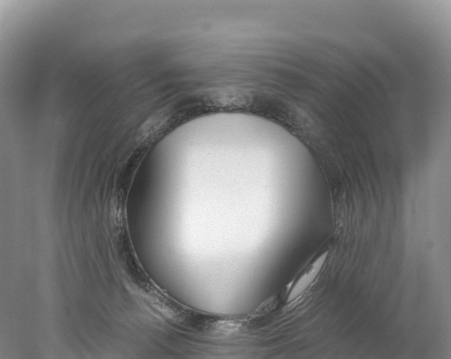 X0000077990176200611171804