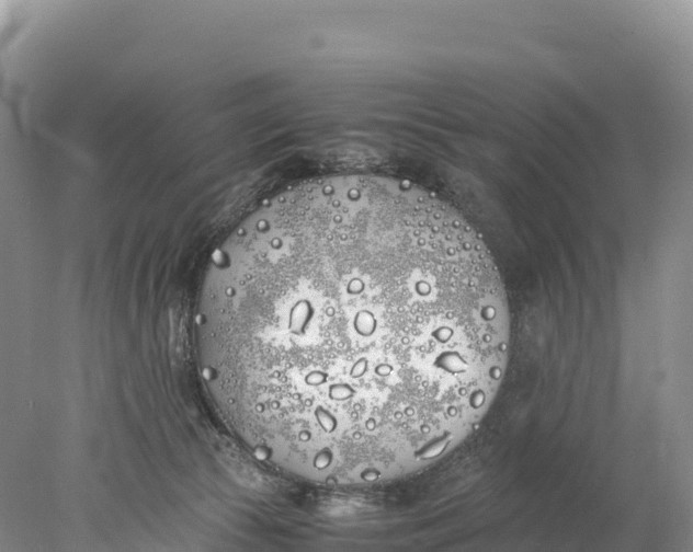 X0000077990177200611171804