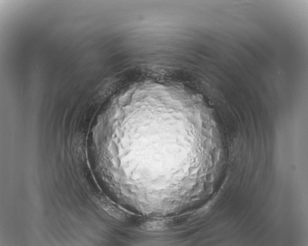 X0000077990178200611171804