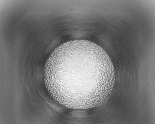 X0000077990179200611171804