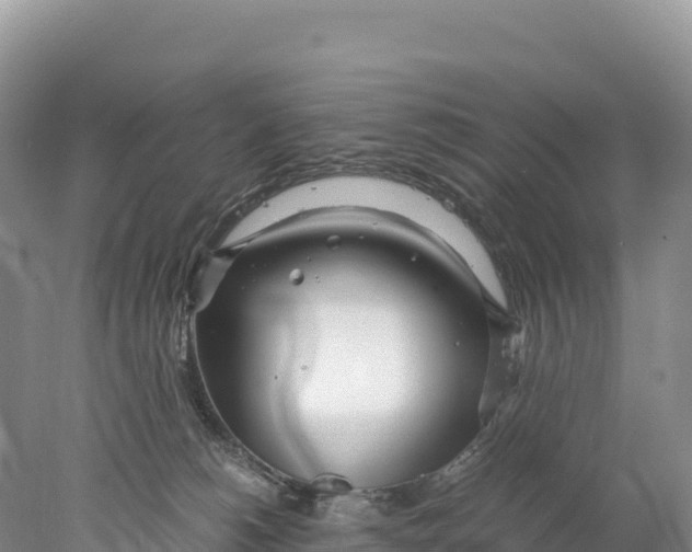 X0000077990180200611171804