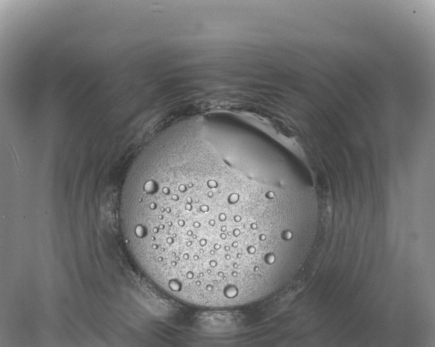 X0000077990181200611171804