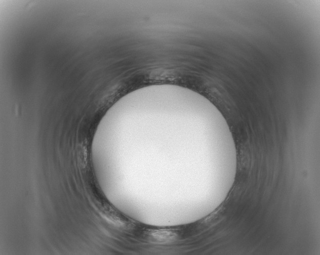 X0000077990183200611171804