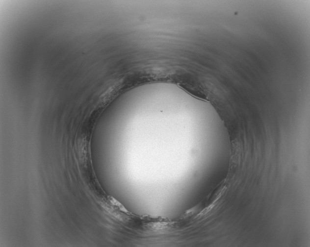 X0000077990184200611171804