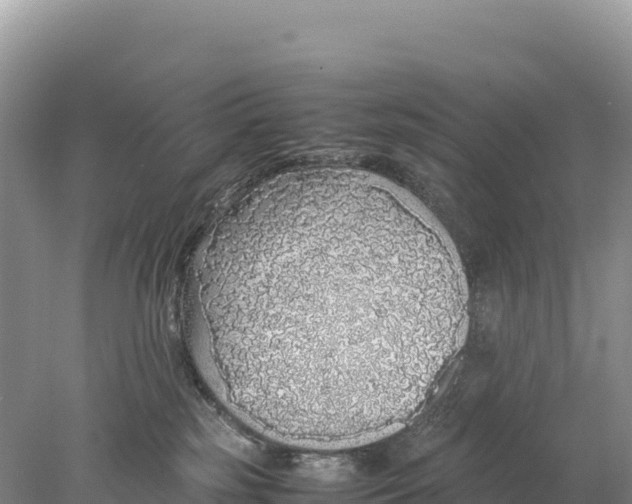 X0000077990185200611171804