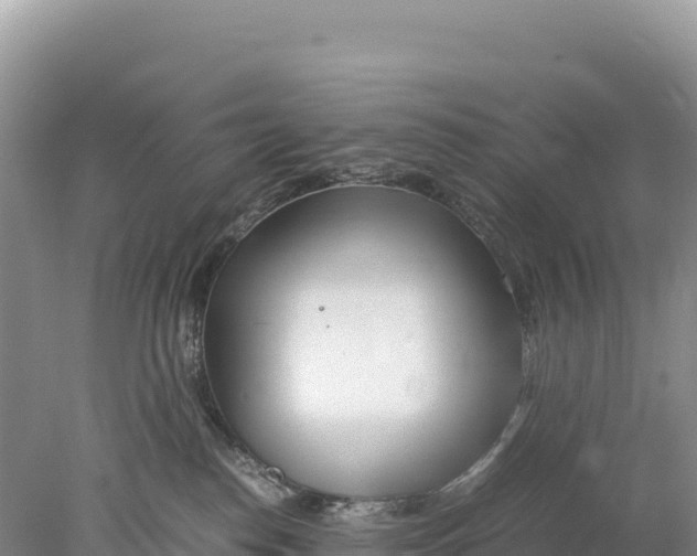 X0000077990186200611171804