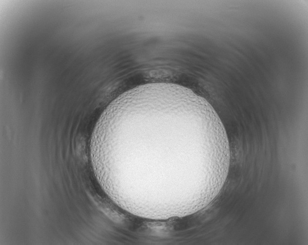 X0000077990187200611171804