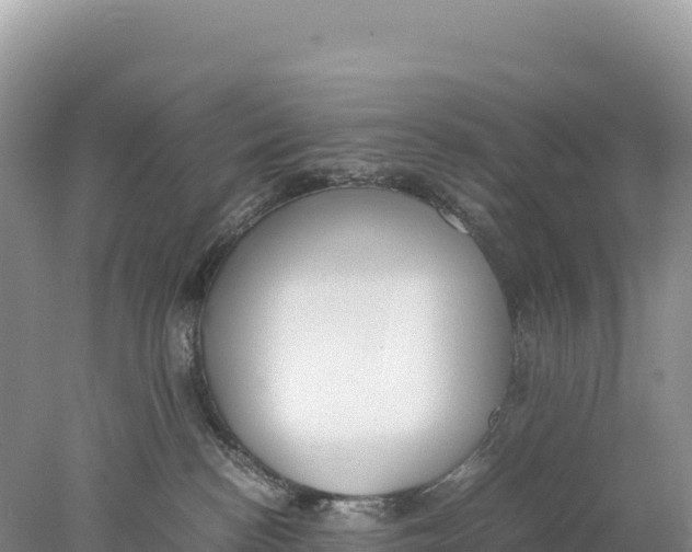 X0000077990188200611171804