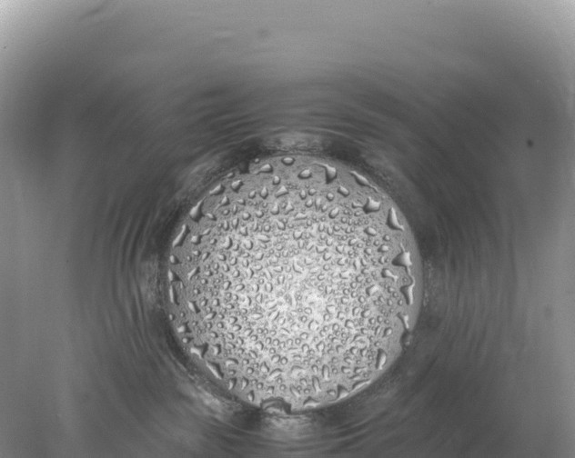 X0000077990189200611171804