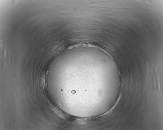 X0000077990190200611171804