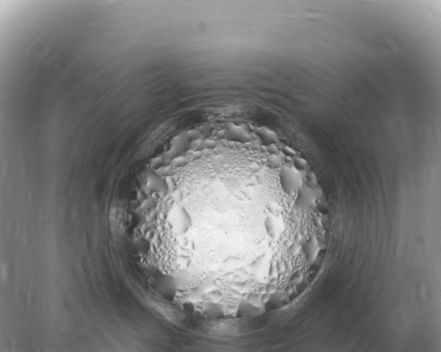 X0000077990191200611171804