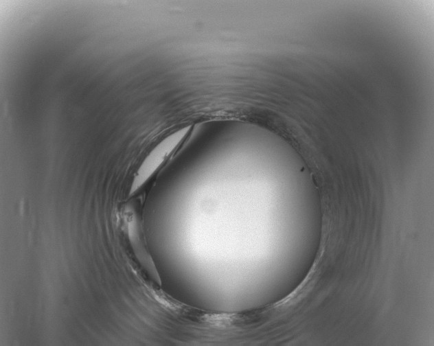 X0000077990192200611171804