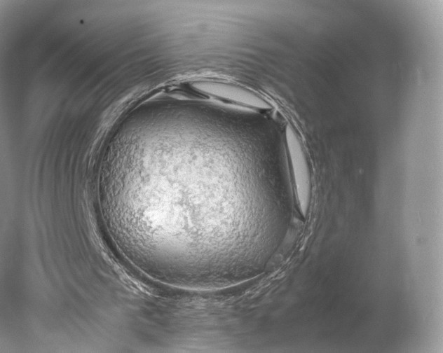 X0000077990193200611171803