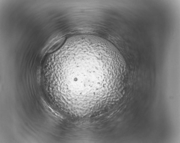 X0000077990194200611171803