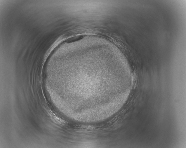 X0000077990195200611171803