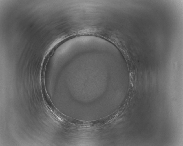 X0000077990196200611171803