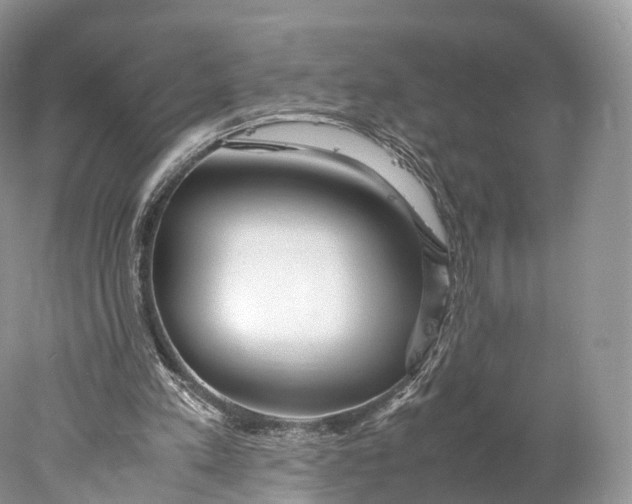 X0000077990197200611171803