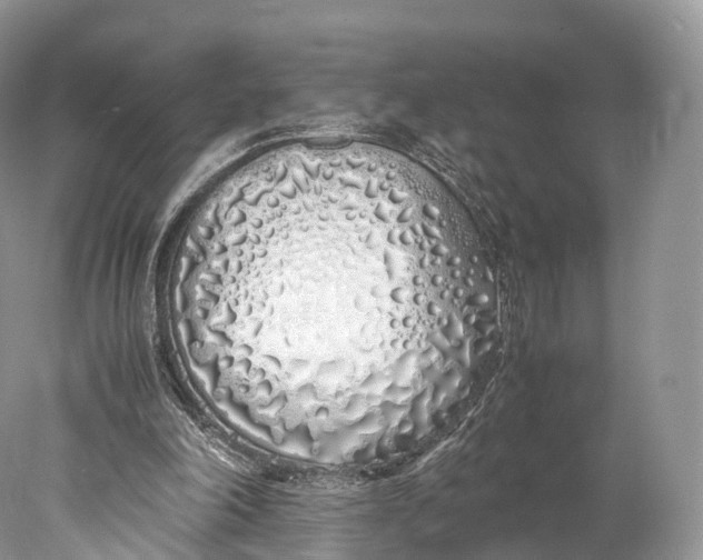 X0000077990198200611171803