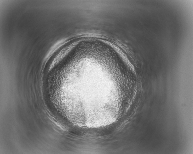 X0000077990199200611171803