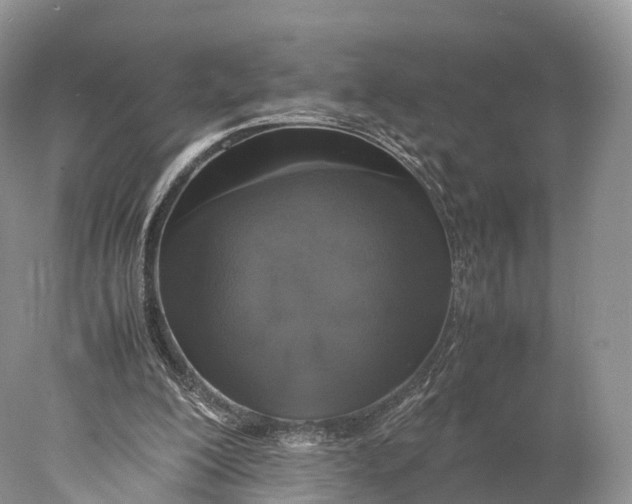 X0000077990200200611171803