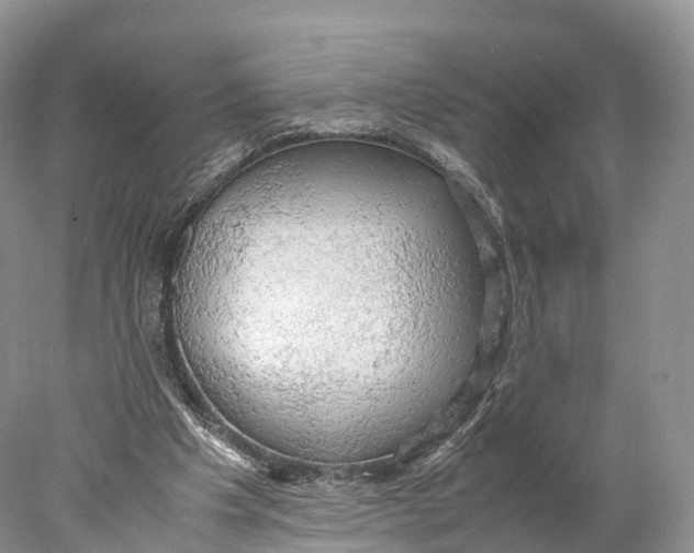 X0000077990201200611171803