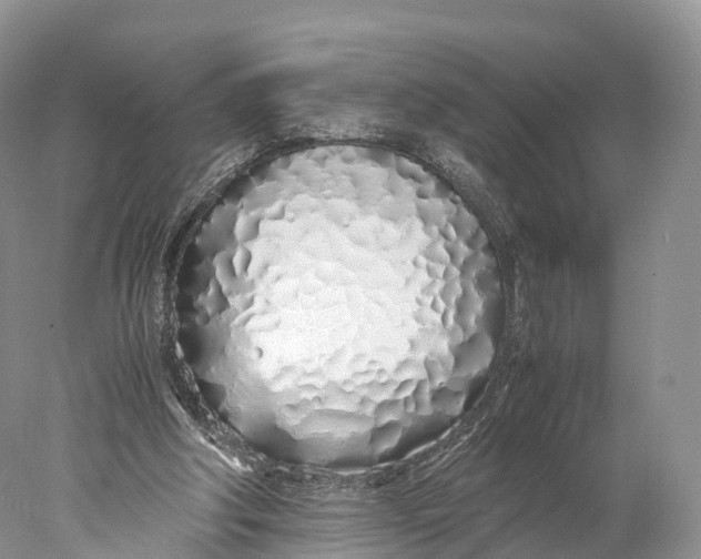 X0000077990202200611171803