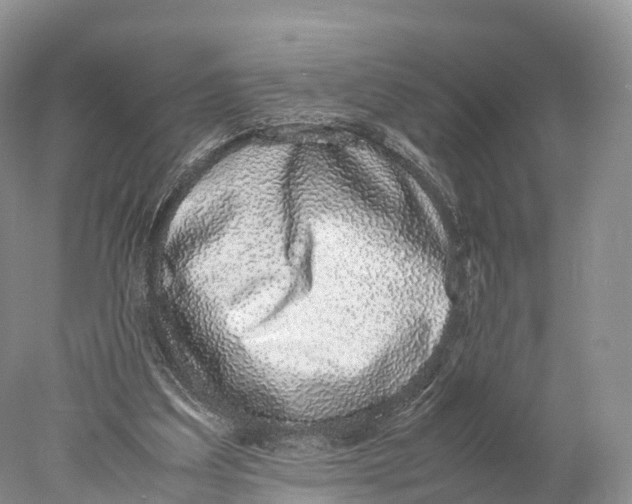 X0000077990203200611171803