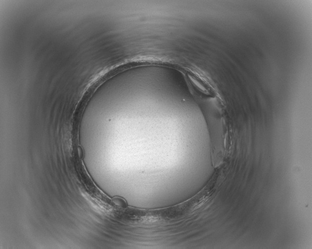 X0000077990204200611171803