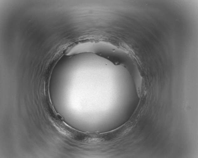 X0000077990205200611171803