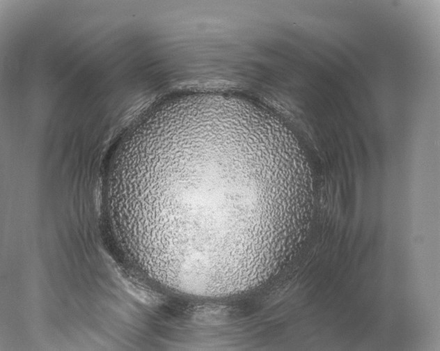 X0000077990206200611171803