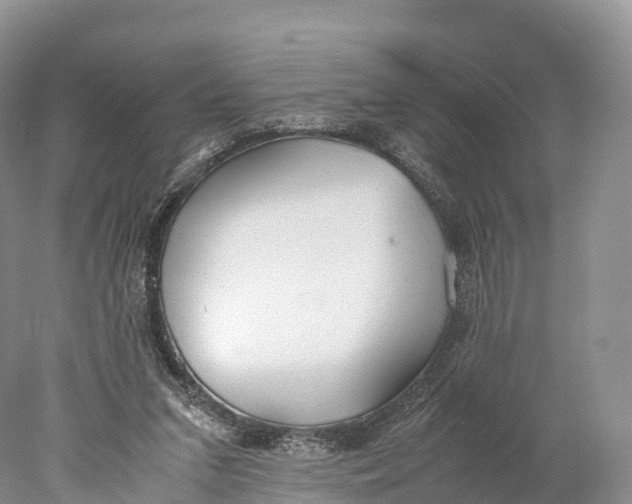 X0000077990207200611171803