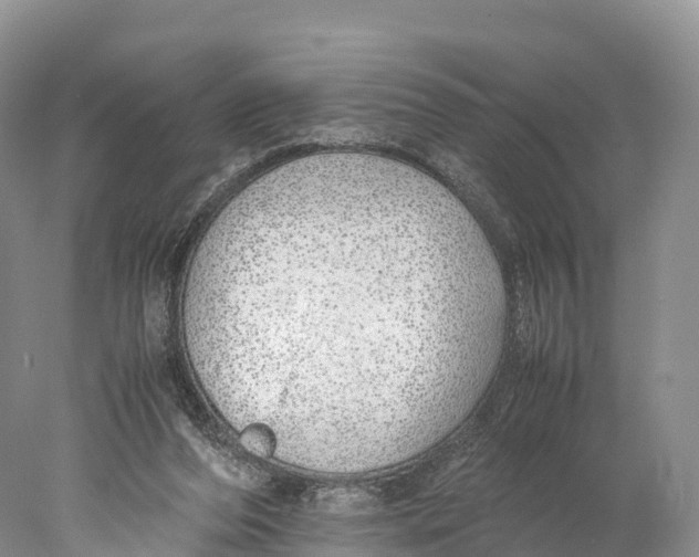 X0000077990208200611171803