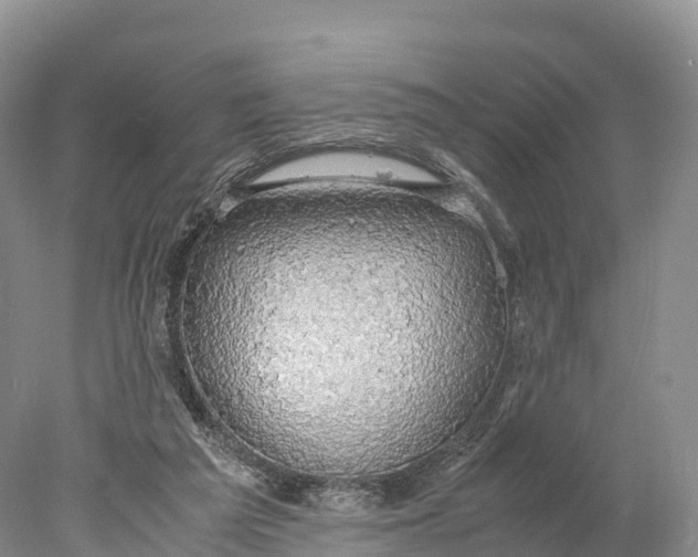 X0000077990209200611171803