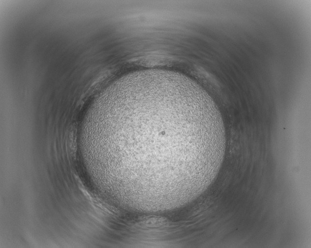 X0000077990210200611171803