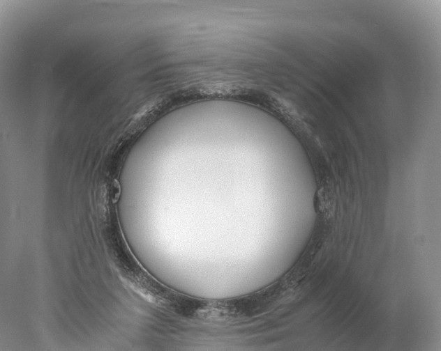 X0000077990211200611171803