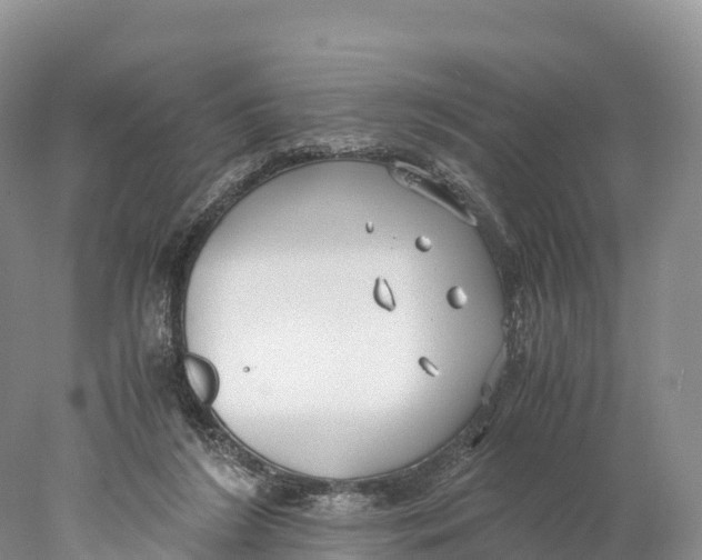 X0000077990212200611171803