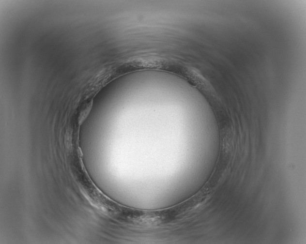 X0000077990213200611171803