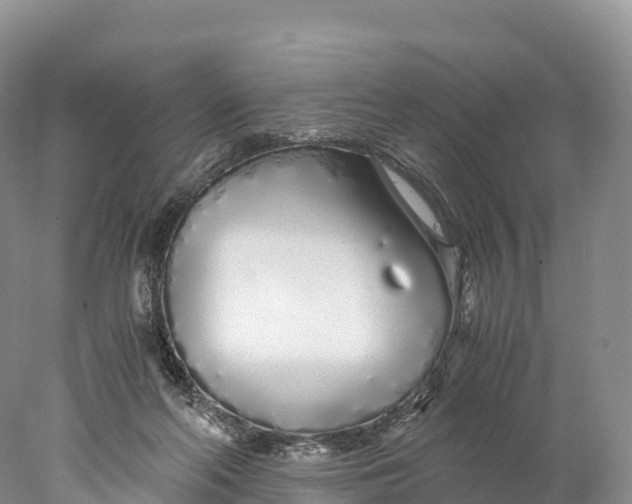 X0000077990214200611171803