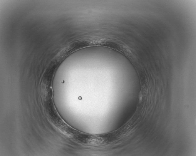 X0000077990215200611171803